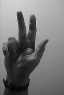 male Hand with three fingers up, gesture