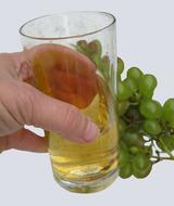 Wine Tasting Harvest New
