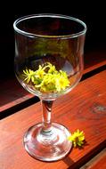 Glass yellow daisy