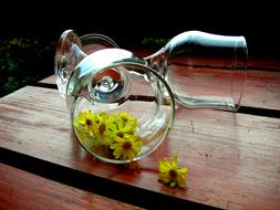 Wine Glasses Chamomile Yellow