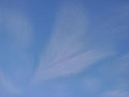 blue Sky Cirrus