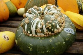 Pumpkin Gourd