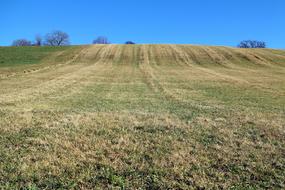 Meadow Hill Horizon Beyond The