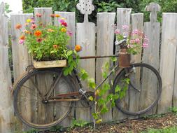 Rust Bike Garden