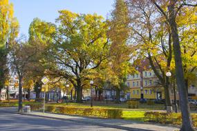 Slubice Park landscape