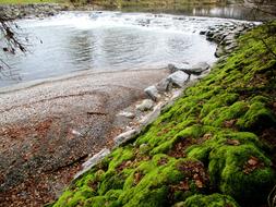 River Waterfall Bank