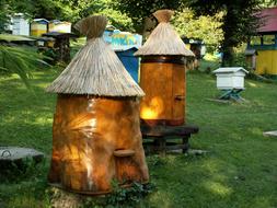 Ul Bees Beekeeping Distributional