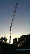 Crane Night