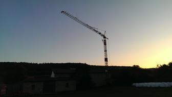 Crane Night