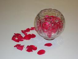 Rose Petals in glass bowl