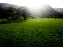 Green Meadow Ireland