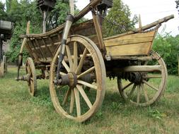 Cart