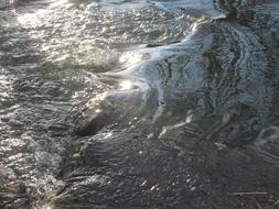 Water River Flow