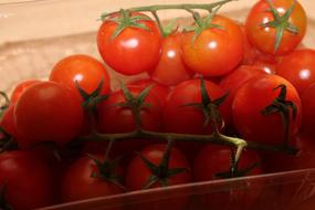 Tomato Trusses Red