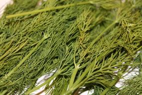 Dill Green Spice Cucumber