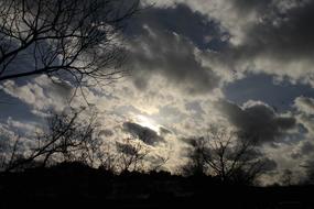 Clouds Aesthetic Trees landscape