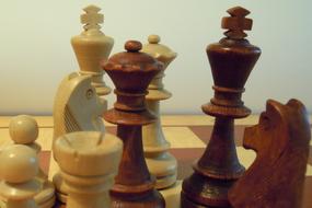 Chess Pieces King