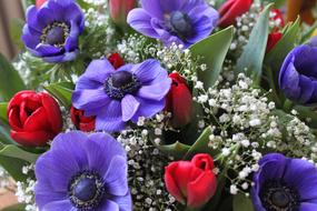 Bouquet Flowers violet red white