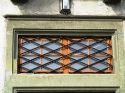 Window Seedlings Hauptwil