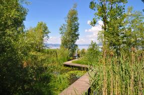 Web Boardwalk Switzerland Lake