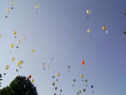 Balloons Sky