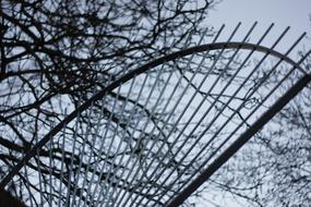 Grid Fence Rays in garden