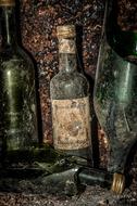 Old Wine Bottle Cellar