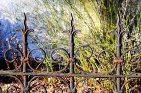 Fence Garden Iron