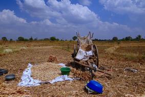 Sorghum Spikes Drying Cart