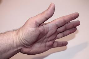Palm Hand Gesture
