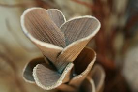 Deco Material Wood