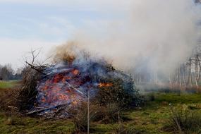 Brenntag East Frisia Smoke