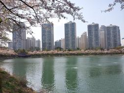 Seokchon Lake Palace Spring
