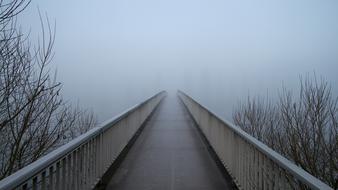 Foggy Web Bridge