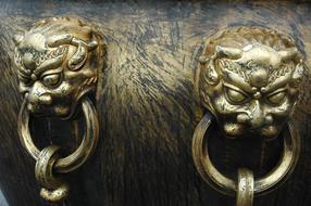 China Leon Ring