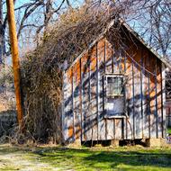Barn Farm Autumn