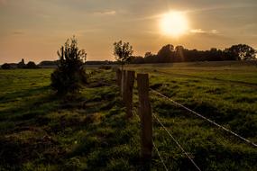 Meadow at Sun Backlighting