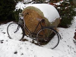 Winter Bike Snow