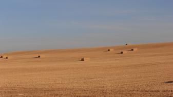 Spain Meseta Hay