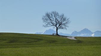 Algoy Visensonne Meadow