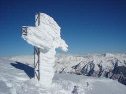Cross Summit