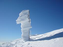 Cross Summit