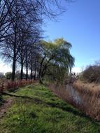 Dommel Valley Spring