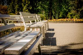 Bench in Park Spacer