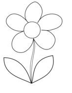 flower daisy spring outline drawing