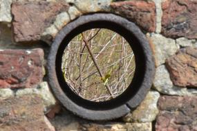 Wall Bricks hole