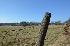 Fence Pasture Rust Barbed