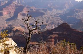 Arizona South Rim National Park