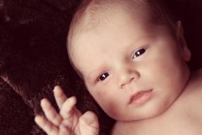 Infant Baby Face photo