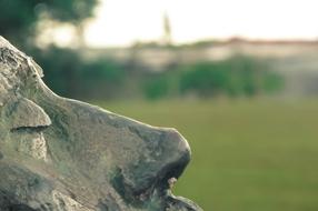 Park Statue Youth face
